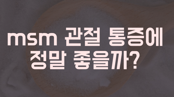 msm 효능 썸네일