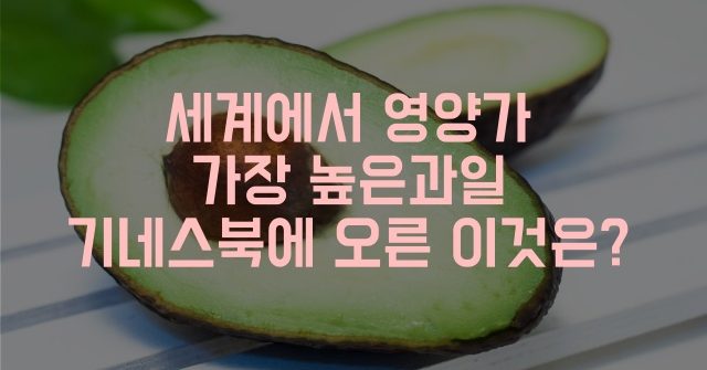 아보카도 효능 샌드위치