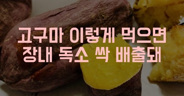 장내독소제거 음식