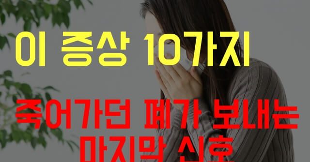 폐암 초기증상