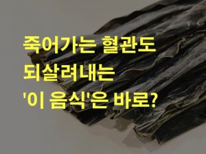 다시마 효능 다이어트