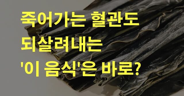 다시마 효능 다이어트
