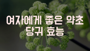 당귀 효능