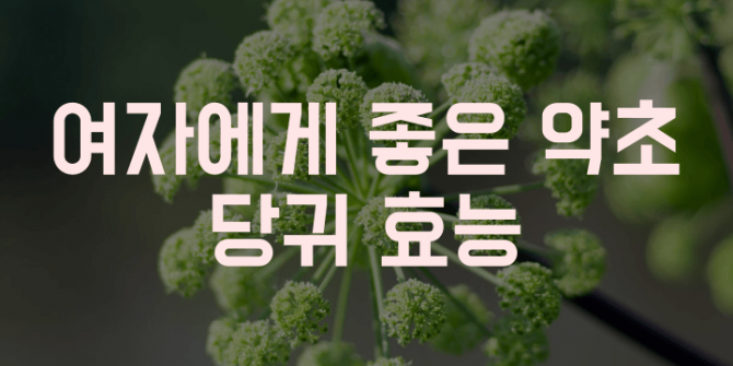 당귀 효능