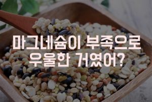 마그네슘 효능 부족