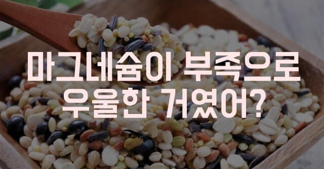 마그네슘 효능 부족