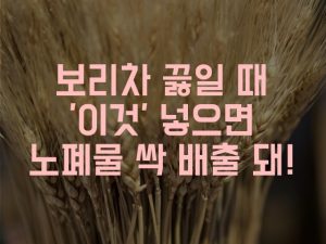 보리차 효능 끓이기 팁