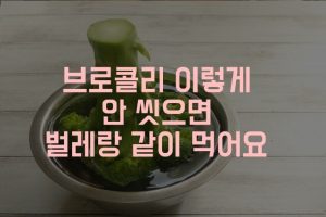 브로콜리 효능 씼는법