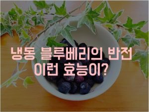 냉동 블루베리 효능
