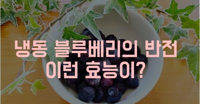 냉동 블루베리 효능