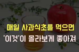 사과 식초 효능