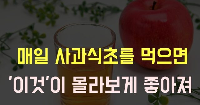 사과 식초 효능