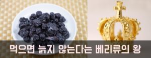 아로니아 효능