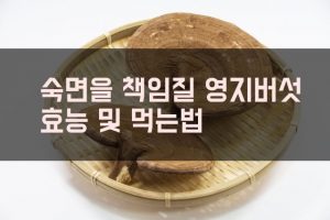 영지버섯 효능