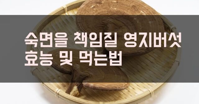 영지버섯 효능