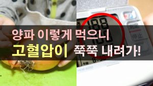 양파 효능