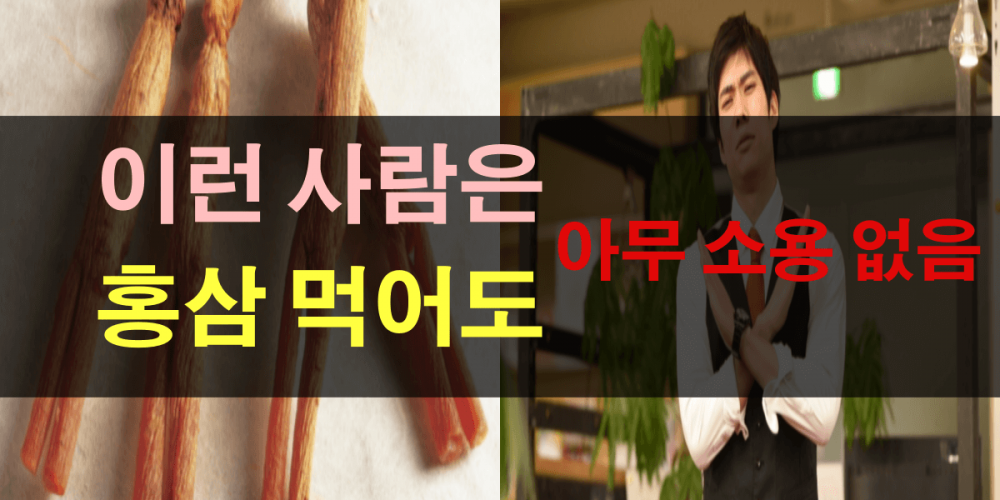 홍삼 효능