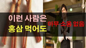 홍삼 효능