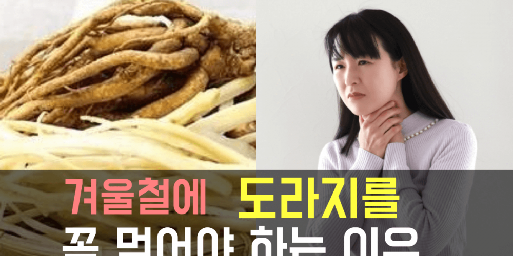 도라지 효능