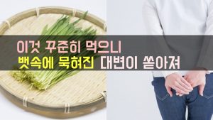 새싹보리 효능