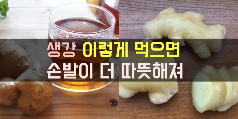 생강 효능 썸네일