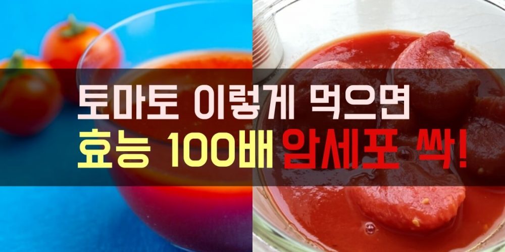 토마토 효능