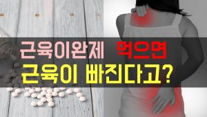 근육이완제 근손실 담
